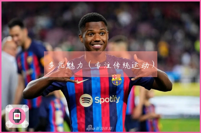 多元魅力（专注传统运动）