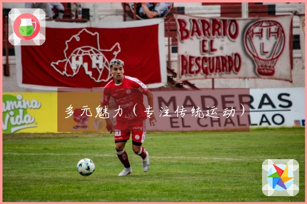 多元魅力（专注传统运动）